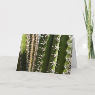 Barrel Cactus II Desert Nature Photo Card