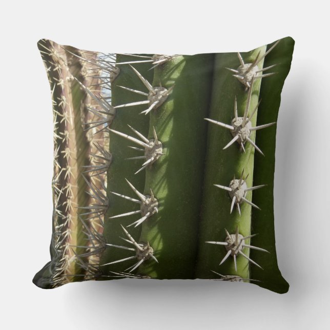 Barrel Cactus II Desert Nature Photo Cushion (Front)