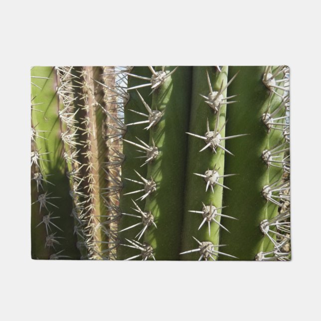 Barrel Cactus II Desert Nature Photo Doormat (Front)