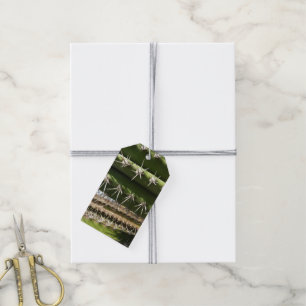 Barrel Cactus II Desert Nature Photo Gift Tags