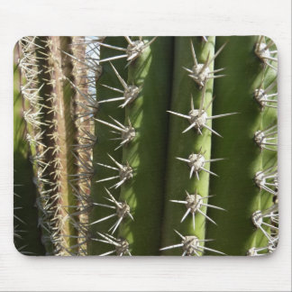 Barrel Cactus II Desert Nature Photo Mouse Pad