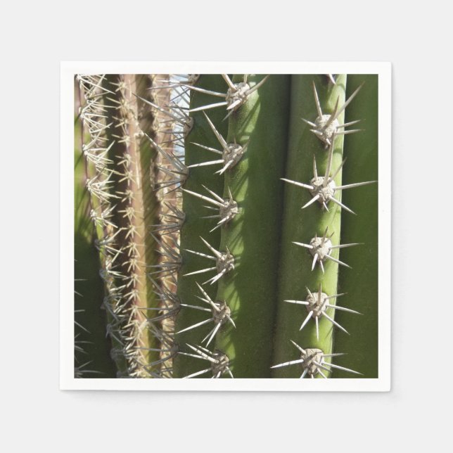 Barrel Cactus II Desert Nature Photo Napkin (Front)