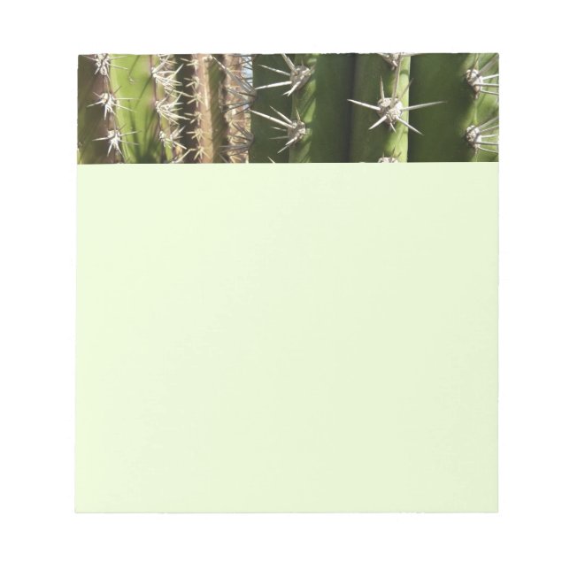 Barrel Cactus II Desert Nature Photo Notepad (Front)