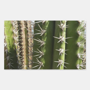 Barrel Cactus II Desert Nature Photo Rectangular Sticker