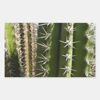 Barrel Cactus II Desert Nature Photo Rectangular Sticker