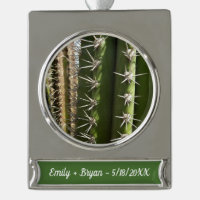 Barrel Cactus II Desert Nature Photo