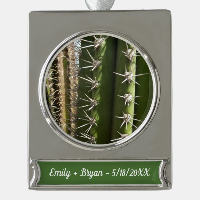 Barrel Cactus II Desert Nature Photo Silver Plated Banner Ornament (Front)