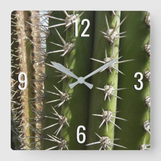 Barrel Cactus II Desert Nature Photo Square Wall Clock