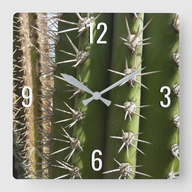Barrel Cactus II Desert Nature Photo Square Wall Clock (Front)