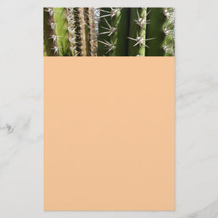 Barrel Cactus II Desert Nature Photo Stationery
