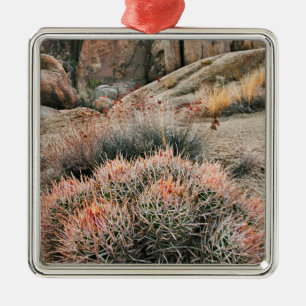 Barrel Cactus In California Metal Tree Decoration