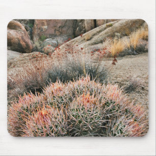 Barrel Cactus In California Mouse Pad