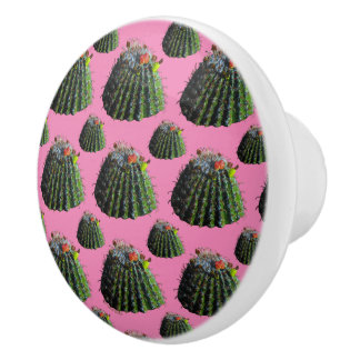 Barrel Cactus Knobs