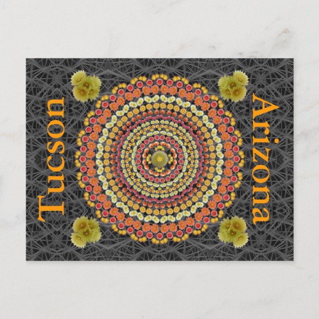 Barrel Cactus Mandala 2 as a Postcard (Front)