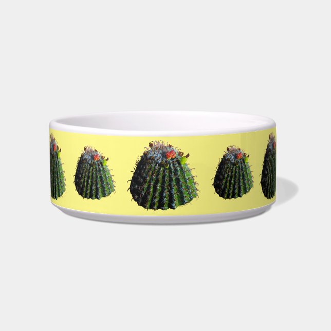 Barrel Cactus Pet Bowls (Front)