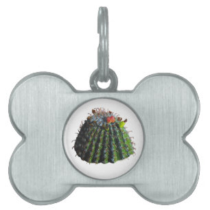 Barrel Cactus Pet Tags
