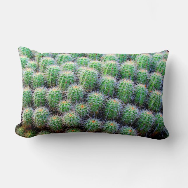 barrel cactus pillow (Front)