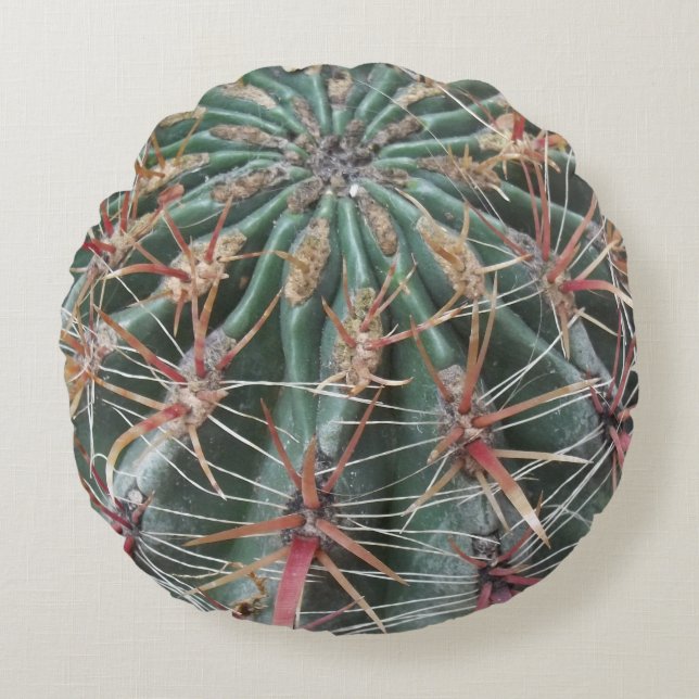 Barrel Cactus Southwest Cacti Desert Plants Round Cushion (Front)