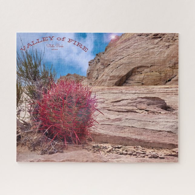 Barrel Cactus, Valley of Fire State Park, Nevada Jigsaw Puzzle (Horizontal)