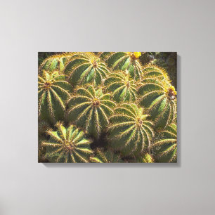 Barrel Cactus - Wrapped canvas print