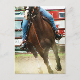 Barrel Race Horse Postcard