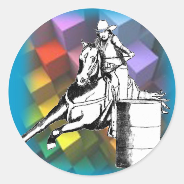 Barrel Racer 102 Classic Round Sticker (Front)