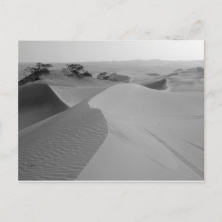 Barren Postcard