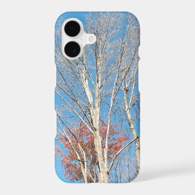 Barren Trees (Back)