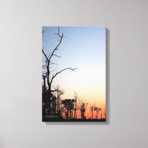 Barren Trees at Sunset Canvas Print