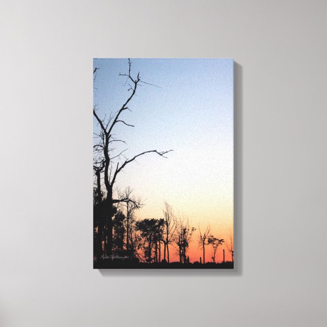 Barren Trees at Sunset Canvas Print (Front)