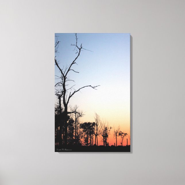 Barren Trees at Sunset Canvas Print (Front)