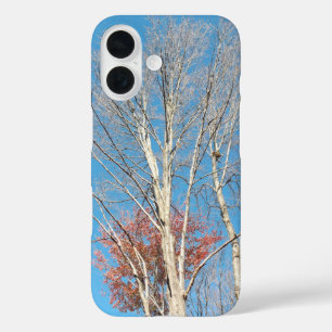 Barren Trees iPhone 16 Case