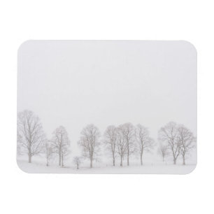 Barren trees in snow white world rectangle magnet