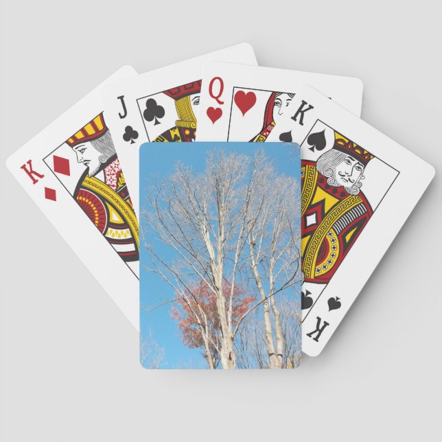 Barren Trees Playing Cards (Back)