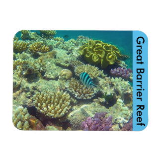 barrier reef coral magnet