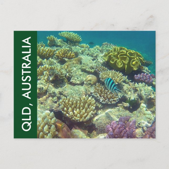 barrier reef queensland postcard (Front)