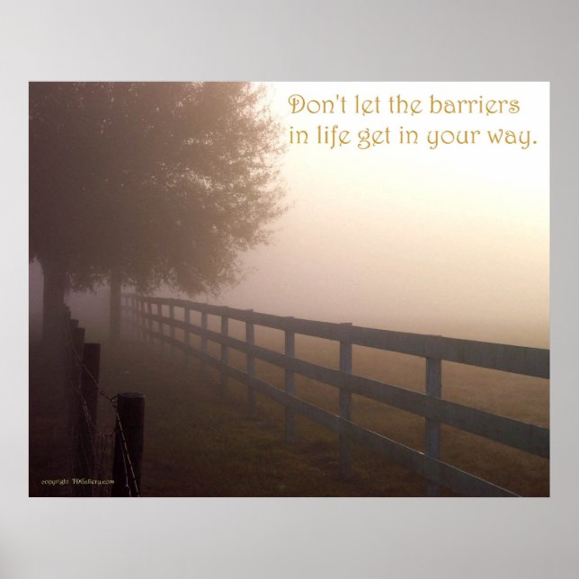 Barriers of Life by TDGallery Poster (Front)