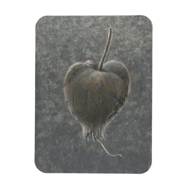 Barringtonia Acutangula  2 Magnet (Vertical)