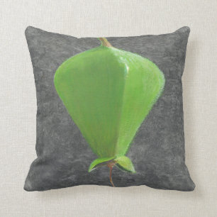 Barringtonia Acutangula Cushion