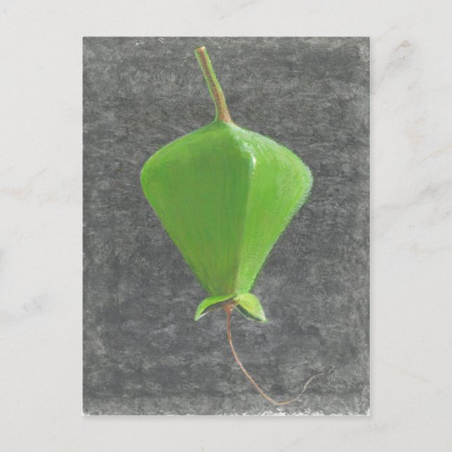 Barringtonia Acutangula Postcard (Front)