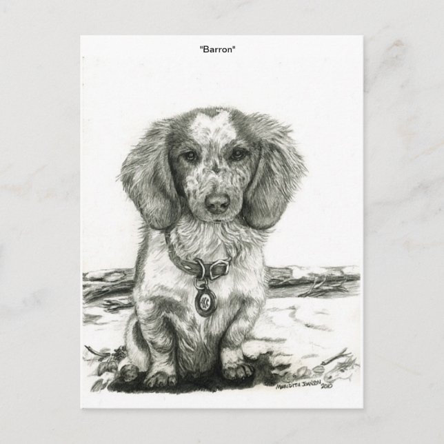 Barron Postcard (Front)