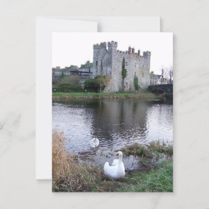 Barrow River Swan, White's Castle Athy Co. Kildare Postcard