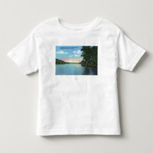 Bartlett Carry Club View of Upper Saranac Lake Toddler T-Shirt