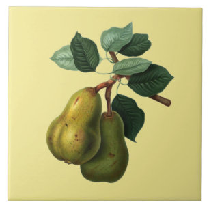 Bartlett Pears Botanical ~ Any Colour Background ~ Tile
