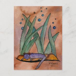 Barton Springs Salamander Postcard