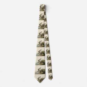 Bartram (Upland) Sandpiper - Audubon Birds America Tie