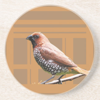  Barware & Bar Tools > Coasters