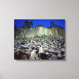 Basalt Formations of Devils Postpile Canvas Print