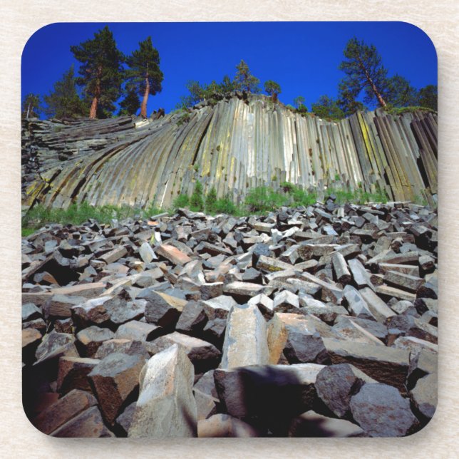 Basalt Formations of Devils Postpile Coaster (Front)