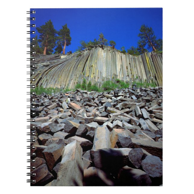 Basalt Formations of Devils Postpile Spiral Notebook (Front)